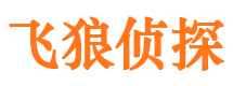 高邑市侦探调查公司